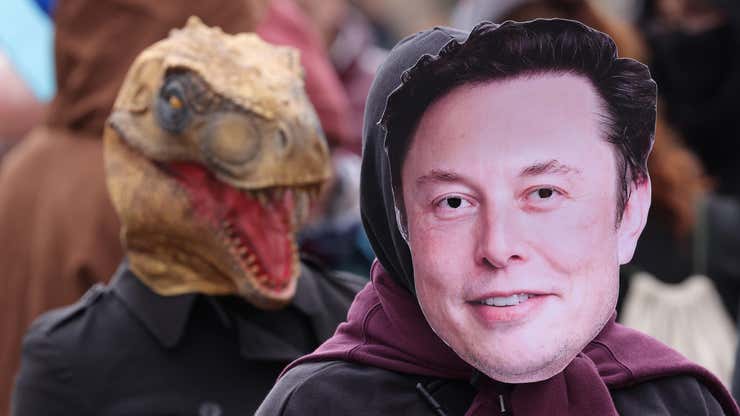 Image for Elon Musk’s cage fight bravado: A weekend tragedy in three acts
